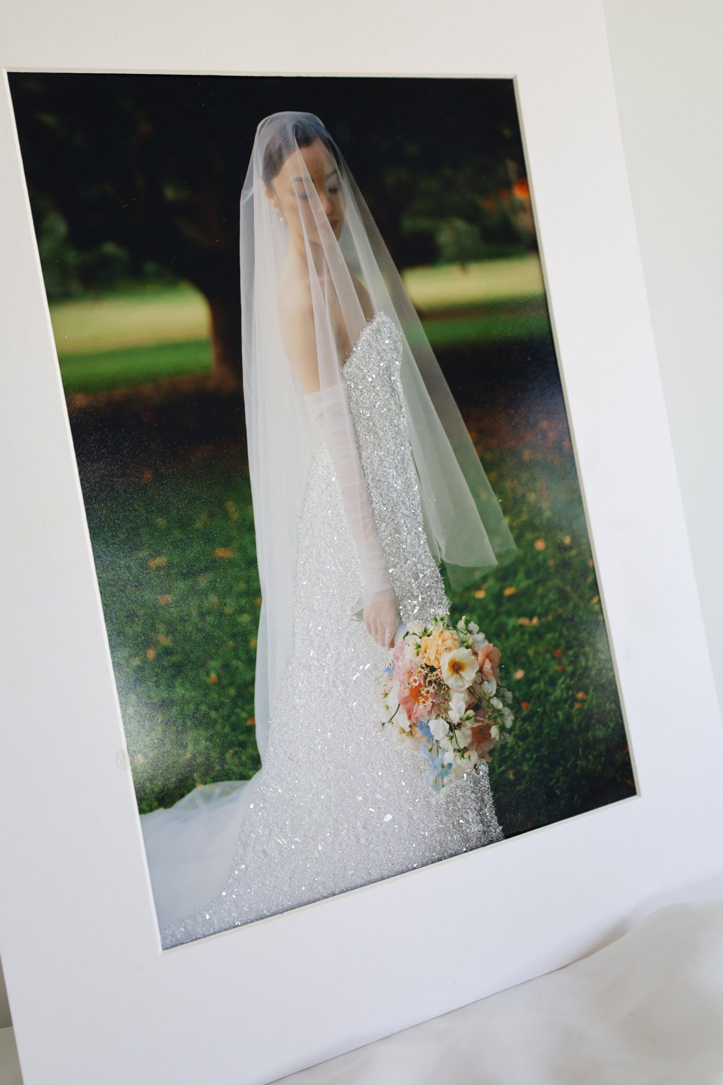 Frame & Resin Trio Preservation Package