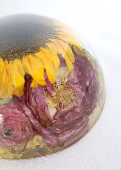 Resin Half Dome Paper Weight