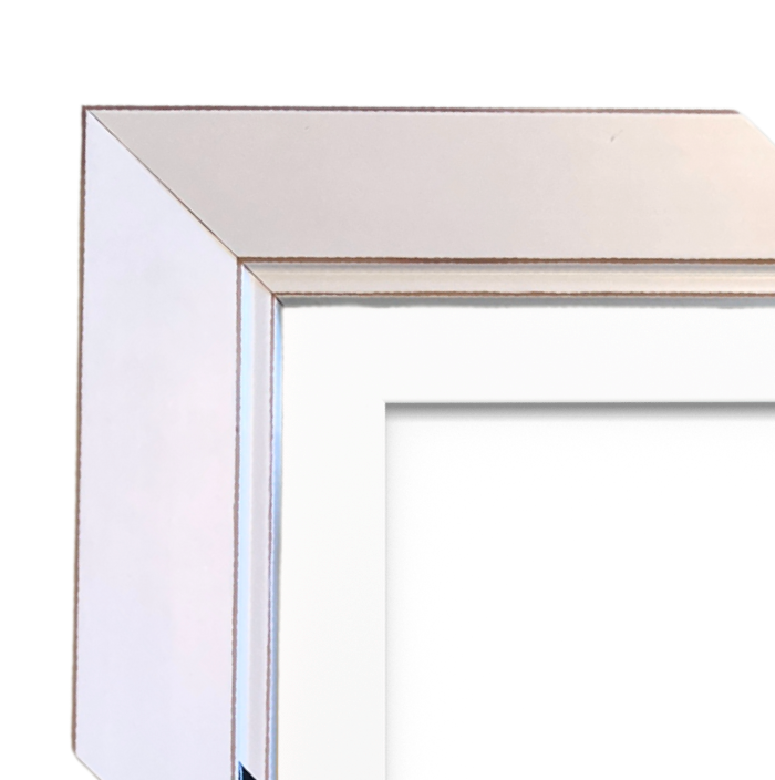 Framed Preserved Bouquet 50x40