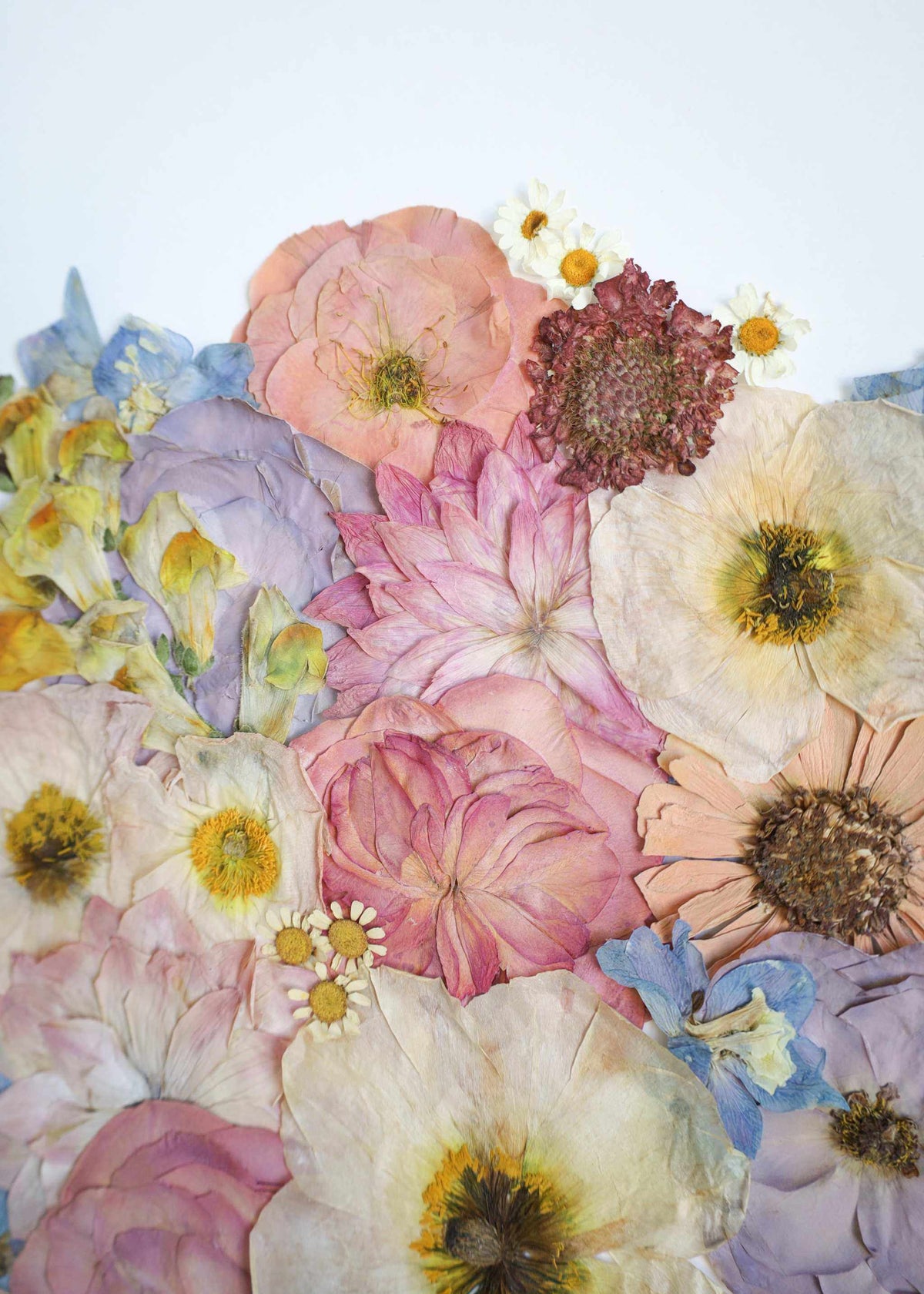 a4 pressed flower frame with preserved flowers in a handcrafted frame