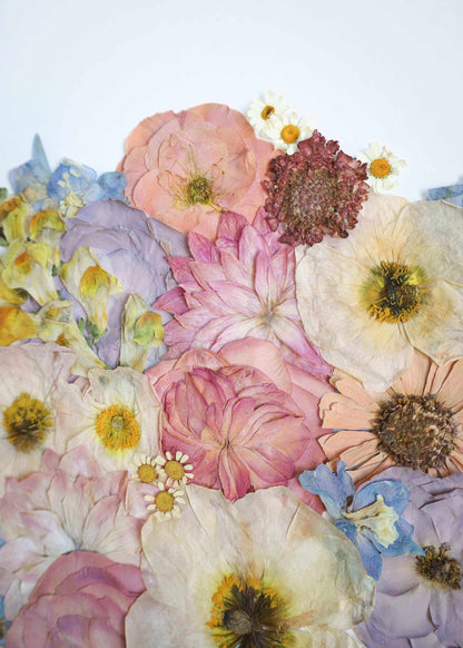 a4 pressed flower frame with preserved flowers in a handcrafted frame