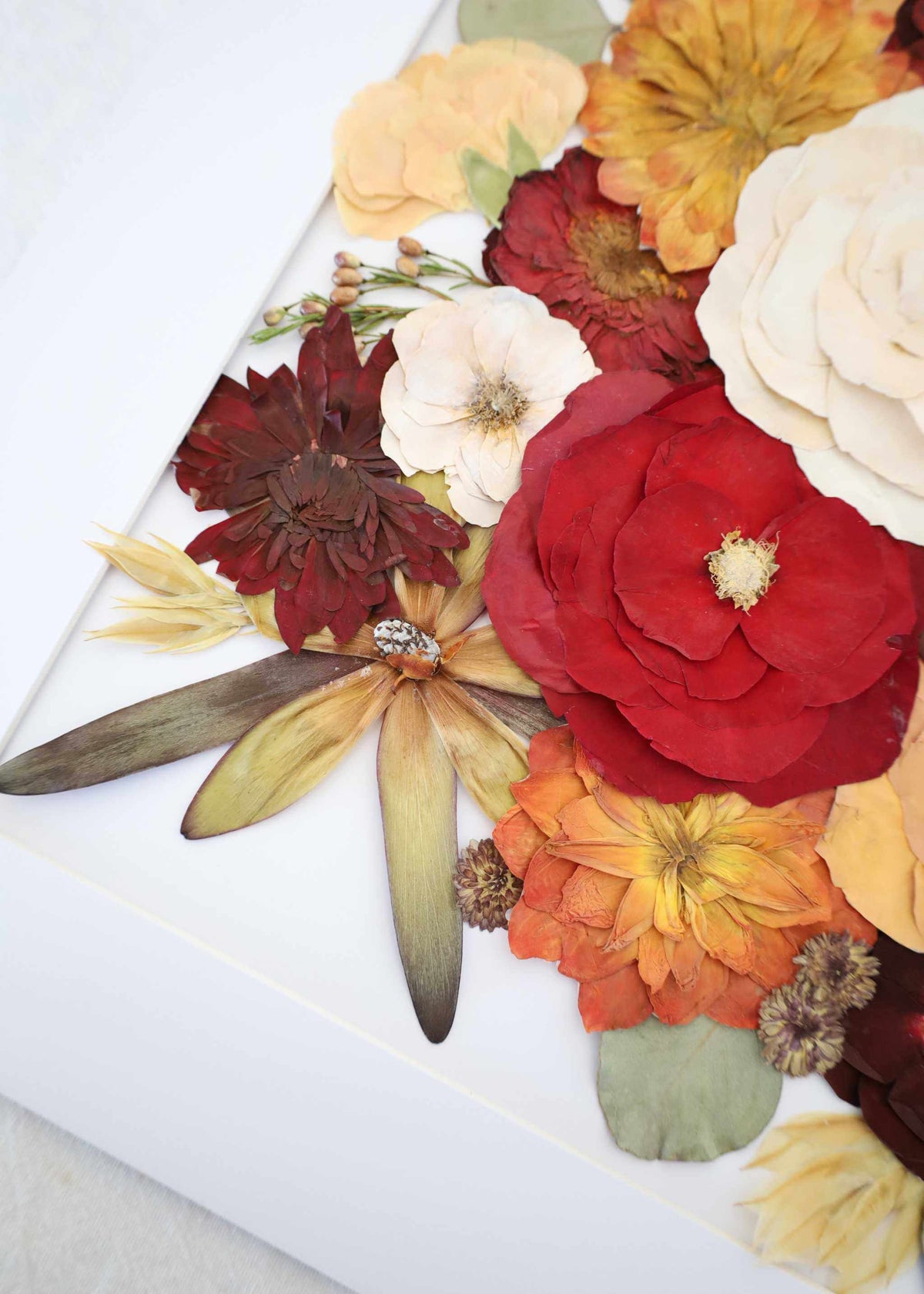 A4 pressed flower frames showcasing preserved floral art with UV protective glass