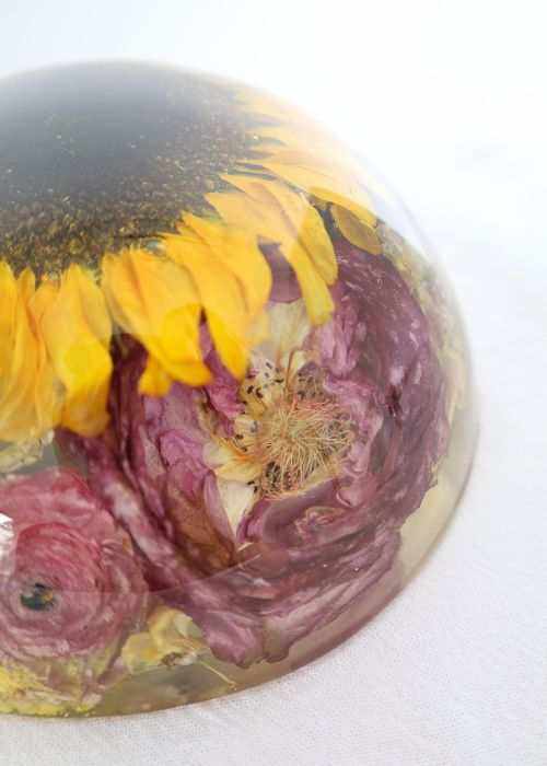 Resin Half Dome Paper Weight in clear resin, preserving yellow sunflower petals and pink-purple flowers